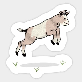 Baby goat Sticker